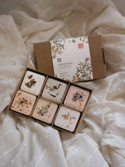 Variety Pack: Essential Oil Shower Steamers / Bath Fizzy Set