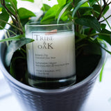 Tribe & Oak candle in a pot with green leaves