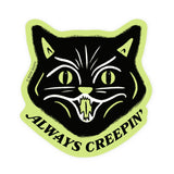 Glow In The Dark Creepy Cat Sticker