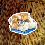 Bodega Cat Loaf Sticker