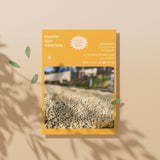 Ethiopia Guji Wessi Tima (Light Roast)