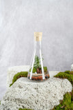 Flask Terrarium