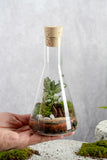 Flask Terrarium