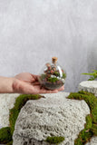 Mini Galaxy Terrarium