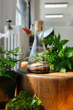 Flask Terrarium