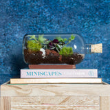Small Bottle Terrarium