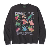 Prospect Park Alliance x Parks Project Brooklyn’s Backyard Crew