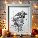 Pet Portraits by Alvar Sirlin | Sunday November 16th 11am-4pm | Industry City