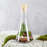 Flask Terrarium