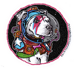 Space Oddity Sticker
