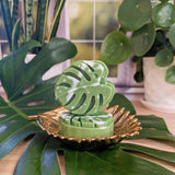 Monstera Leaf Soap