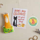 Bodega Cat Plushie Birthday Gift Set