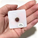 New York City Subway Token Glass Magnet