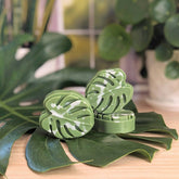 Monstera Leaf Soap