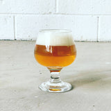 American Pale Ale Beer Making Kit