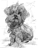 Pet Portraits by Alvar Sirlin | Sunday November 16th 11am-4pm | Industry City