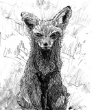 Red Fox|Pet Drawing by Alvar Sirlin