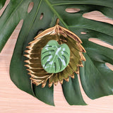 Monstera Leaf Soap