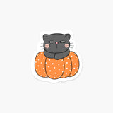 Cat On A Pumpkin Sticker
