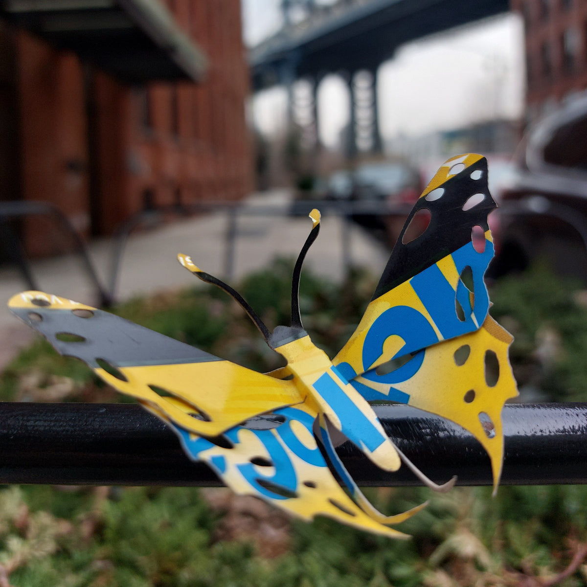 NYC METROBUGS