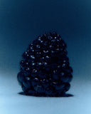 Moonrise in a Forest Candle