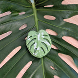 Monstera Leaf Soap
