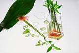Bamboo Reed Diffuser