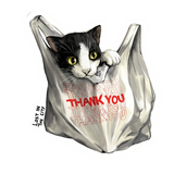 Bodega Cat in Bag Sticker