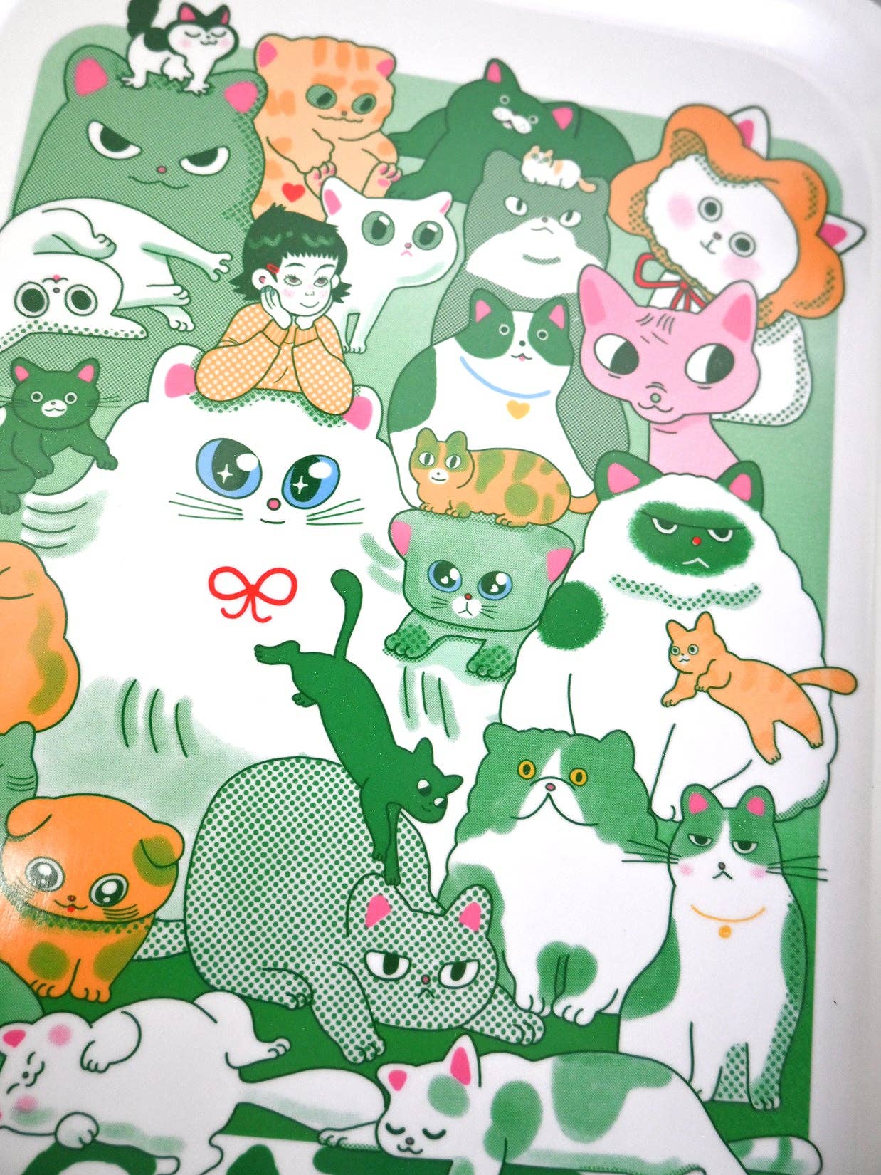 "CATS" Catch-all tray