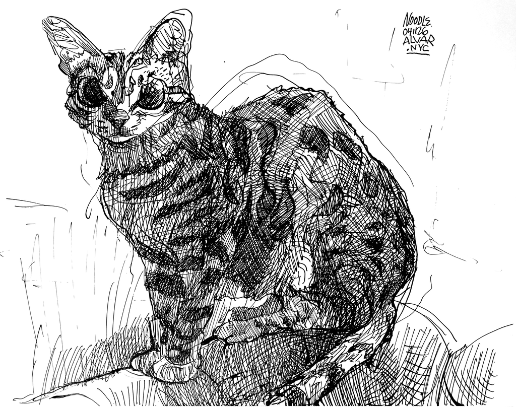 Noodle|Pet Drawing by Alvar Sirlin