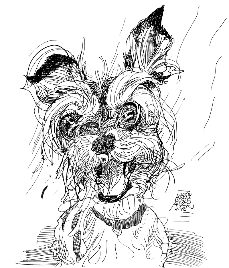 Terrier Postcard