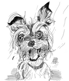 Terrier Postcard