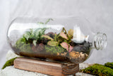 Small Bottle Terrarium