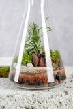 Flask Terrarium