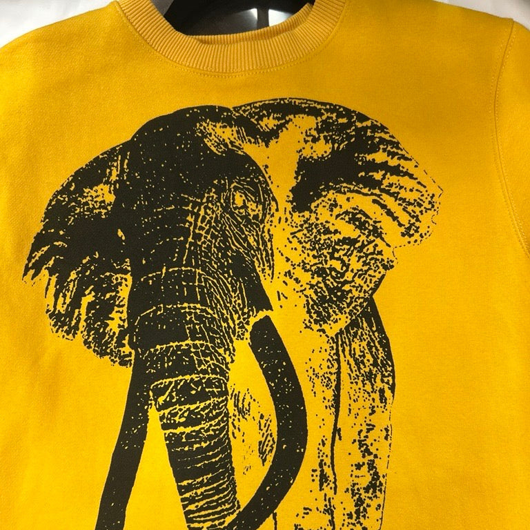 Tembo Sweatshirt (2025)