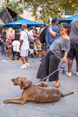 Joyful Dance and Chill Pup at Vinyl Nights Brooklyn