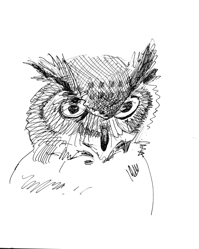 Owl|Sketch by Alvar Sirlin