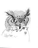 Owl|Sketch by Alvar Sirlin