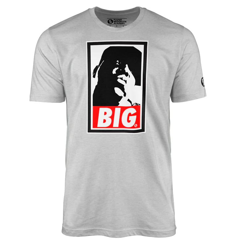 Big T-Shirt