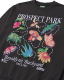 Prospect Park Alliance x Parks Project Brooklyn’s Backyard Crew