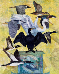 Bin Sangyeo - Camptorhynchus labradorius