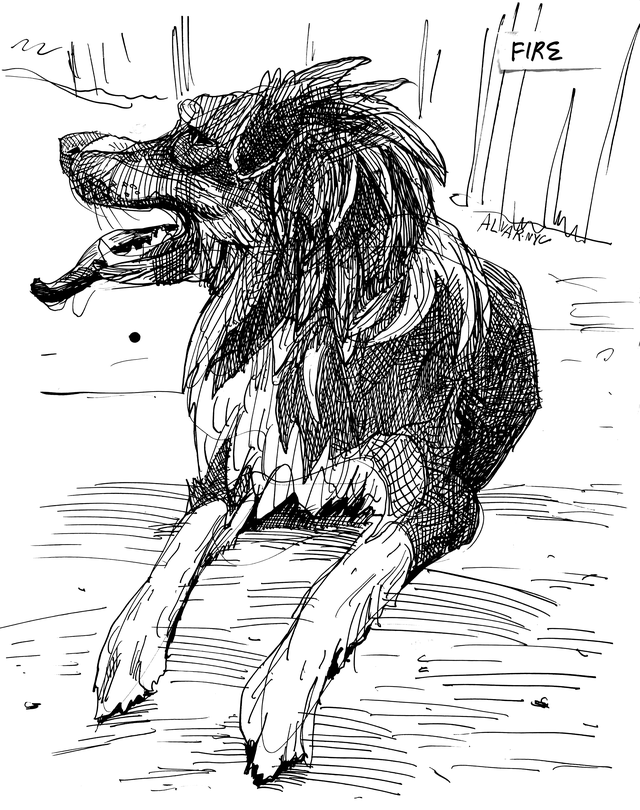 Fire|Pet Drawing by Alvar Sirlin