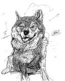 Maru|Pet Drawing by Alvar Sirlin
