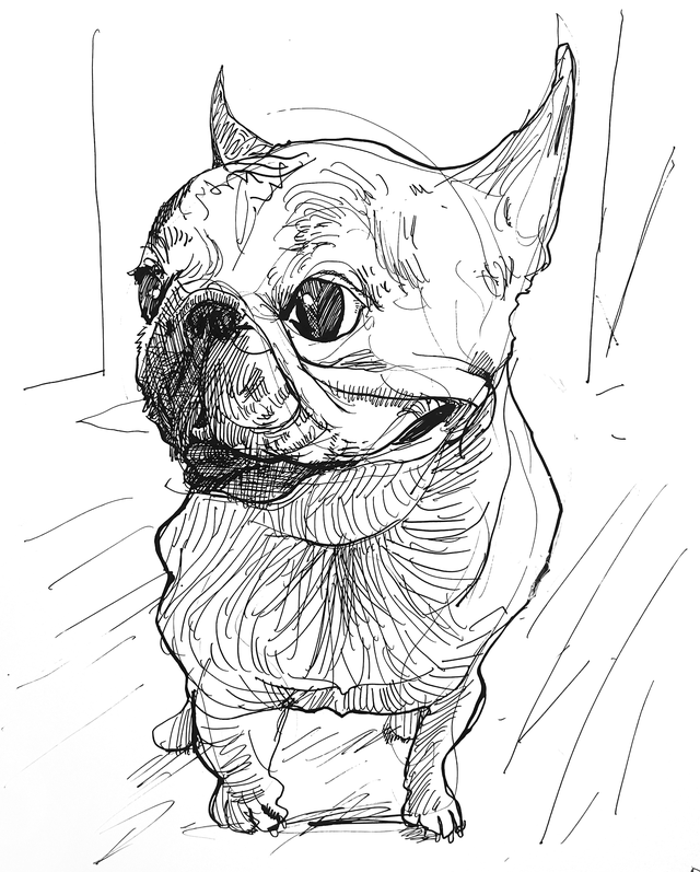 Frenchie Postcard