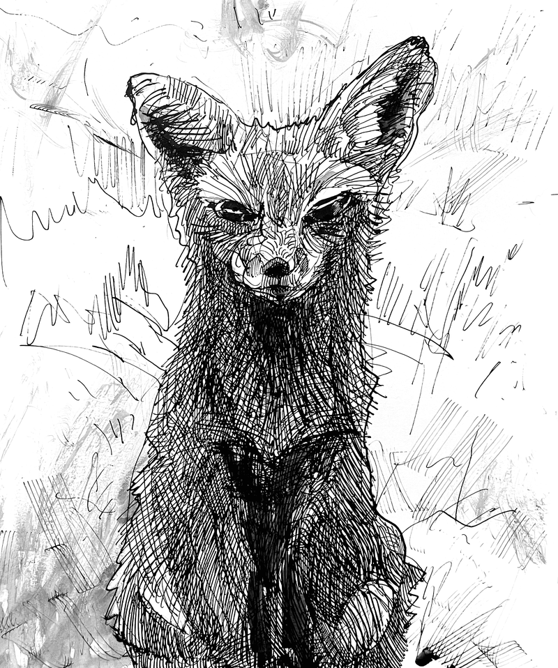 Red Fox|Pet Drawing by Alvar Sirlin